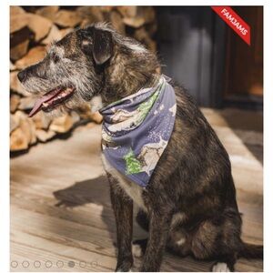 Burt’s bees Home Sweet Home Organic Cotton Matching Family Pajamas dog bandana